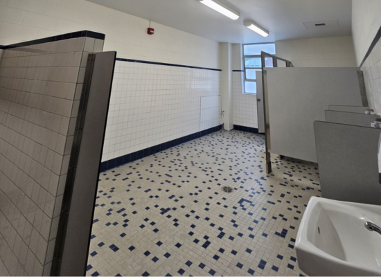 renovated bathroom with bathroom stalls and sinks